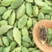 Cardamom The New "Superfood" with Surprising Health Benefits