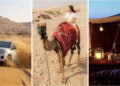 Dubai's Desert Wonders: Your Guide to Safari Fun